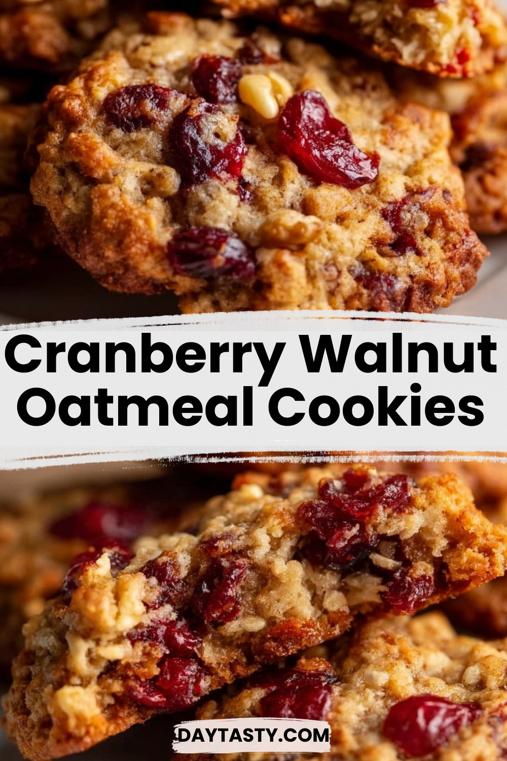 Cranberry Walnut Oatmeal Cookies