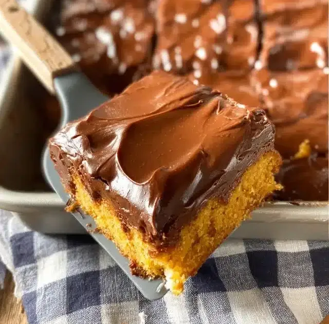Delicious chocolate peanut butter oatmeal bars on a plate