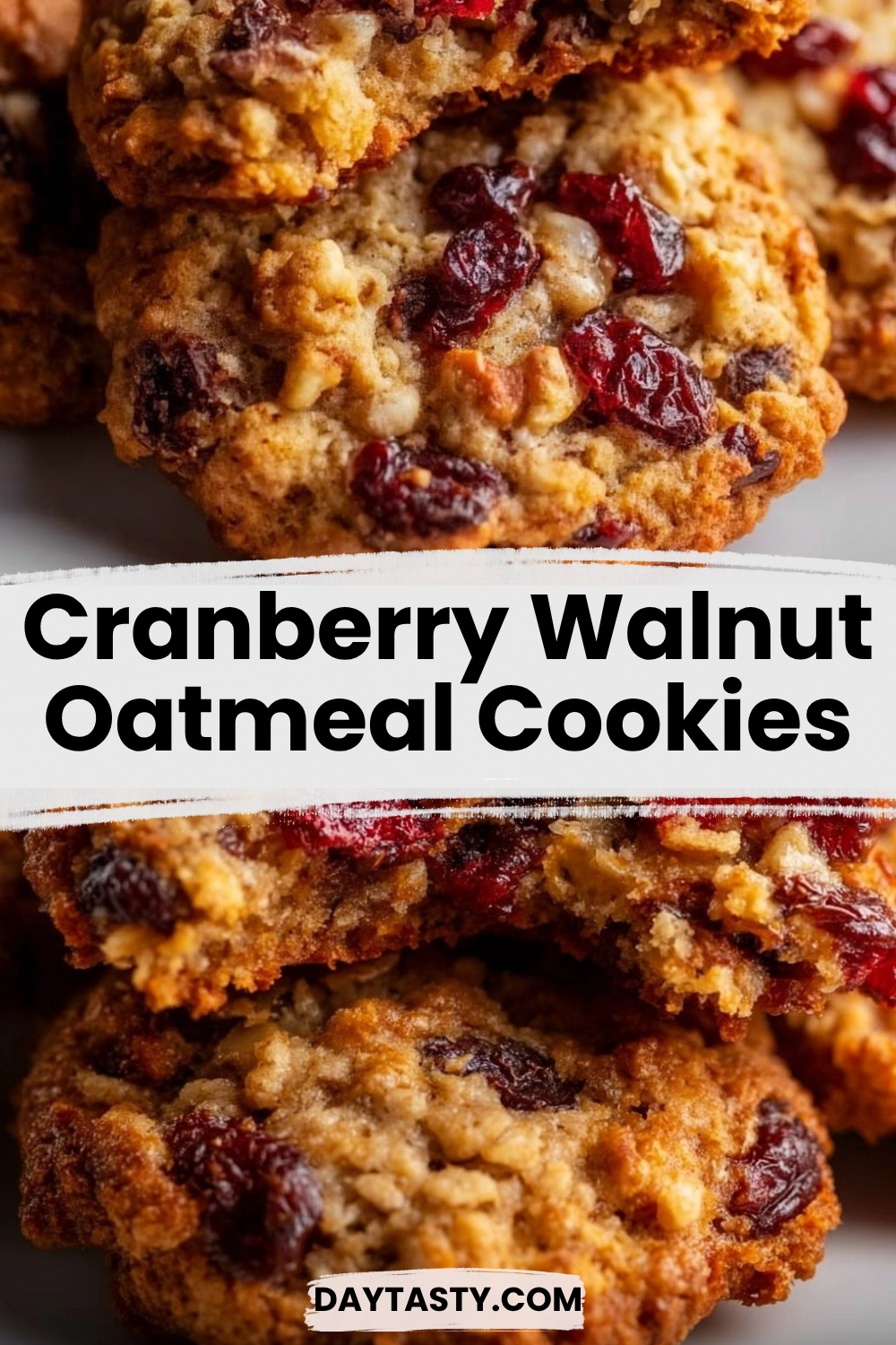 Cranberry Walnut Oatmeal Cookies

