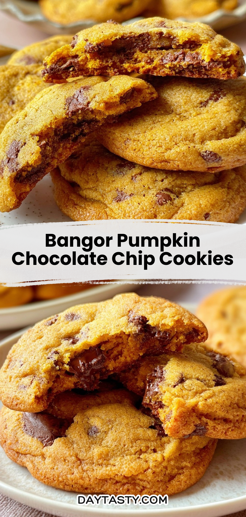 Bangor Pumpkin Chocolate Chip Cookies

